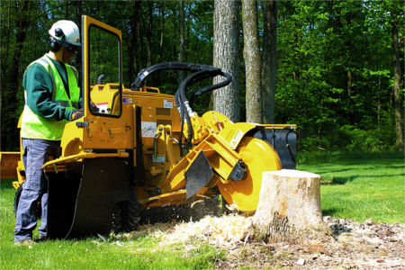 Stump grinding